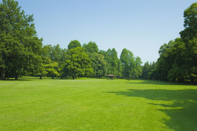 Landscape Maintenance Service