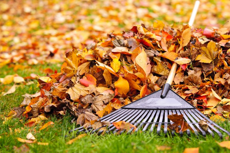 Autumn Leaf Cleanup