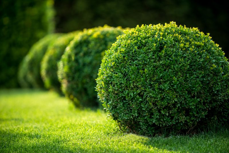Trimmed Trees and Shrubs